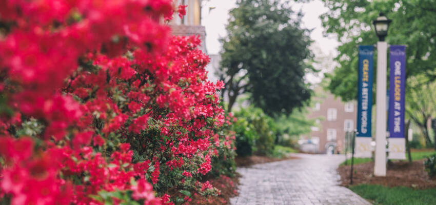 Flowers on Salem campus