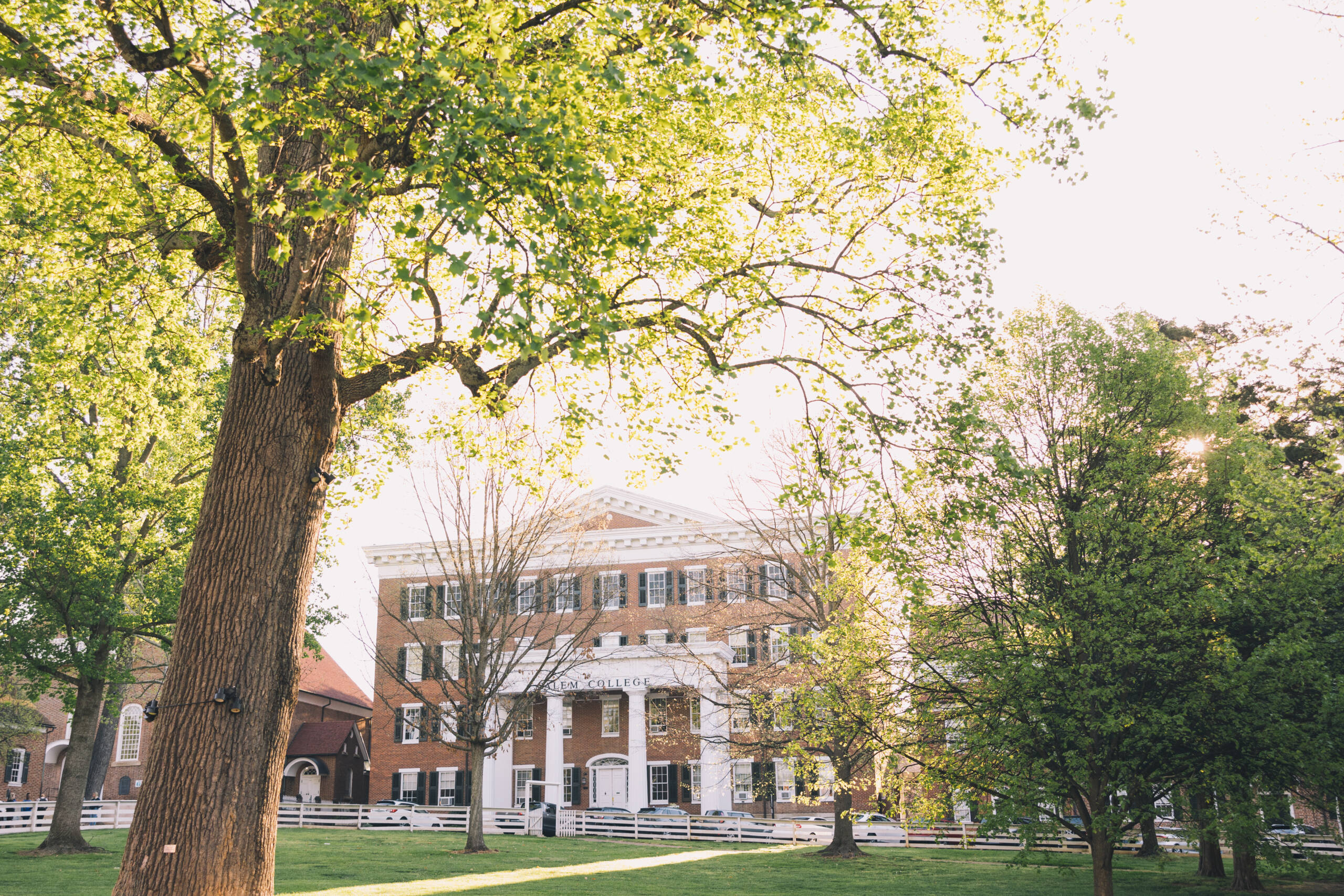 Salem College building surrounded by trees